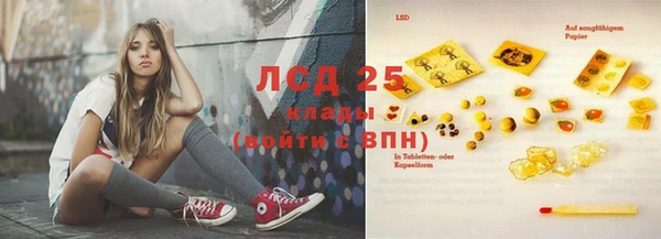 винт Инта