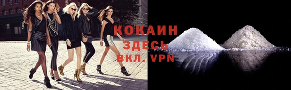 винт Инта