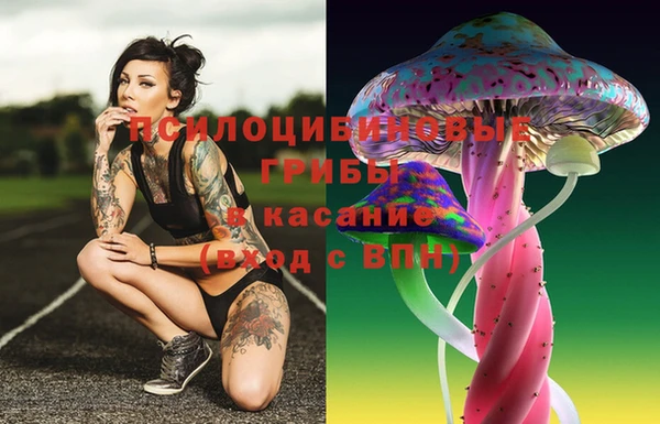 ГАЛЛЮЦИНОГЕННЫЕ ГРИБЫ Строитель