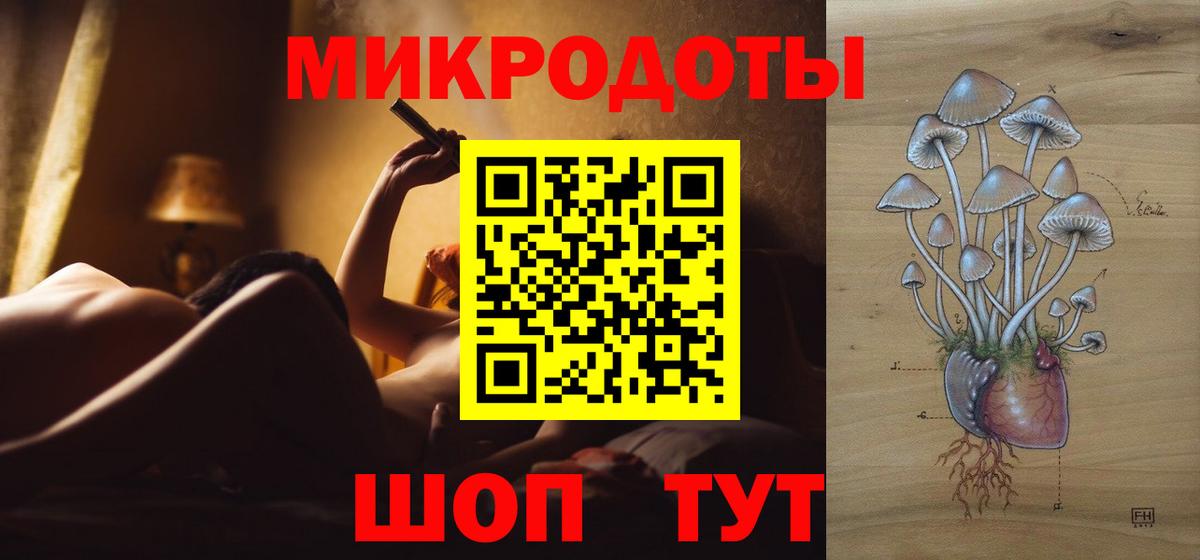 Псилоцибиновые грибы Psilocybe  Вход с VPN  Среднеуральск 